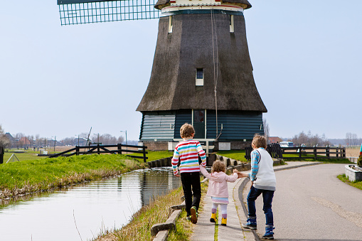 Two school kids boys and little baby girl walking on street with big windmill in Netherlands. Family of three children making vacations in Holland. Happy siblings holding hands
