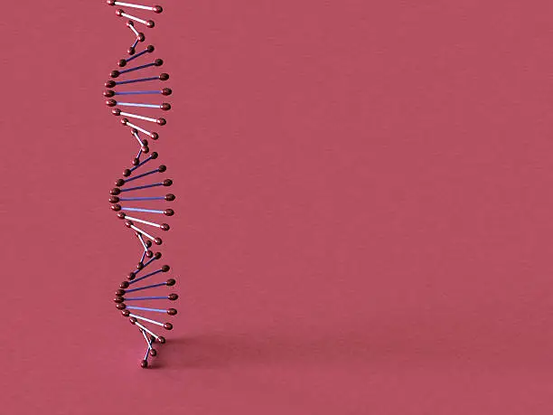 Photo of dna