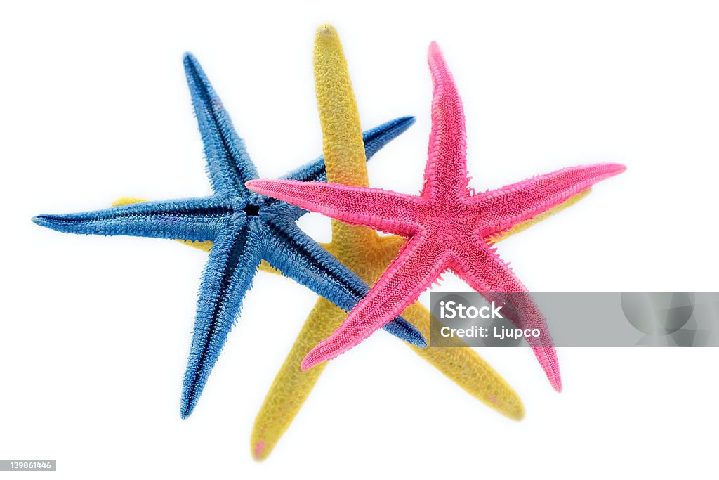 Starfish Three starfish against white background Pattern Stock Photo