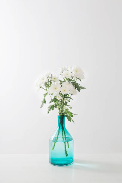 istock white  chrysanthemums in  glass vase on white  background 1398614496