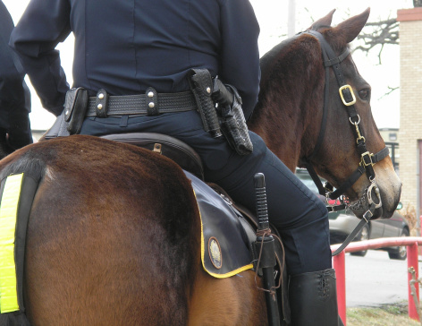 Mounted Police and his horse