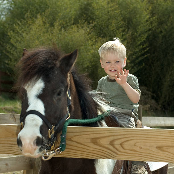 Kid with pony stock photo