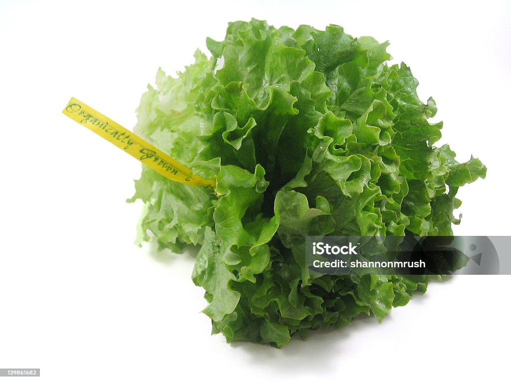 Lettuce Organically grown lettuce.  Isolated in white. Cut Out Stock Photo