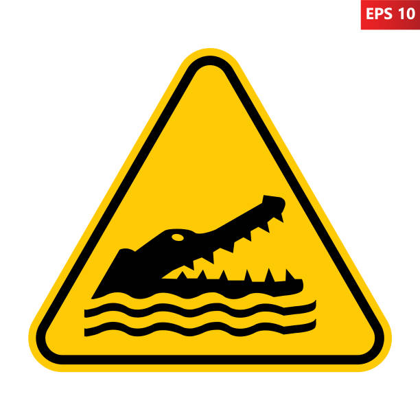 Crocodiles, alligators, caimans warning sign. Crocodiles, alligators, caimans warning sign. Vector illustration of yellow triangle sign with reptile head with open jaws. Caution wild dangerous animals. Danger zone. Risk of attack. crocodile stock illustrations