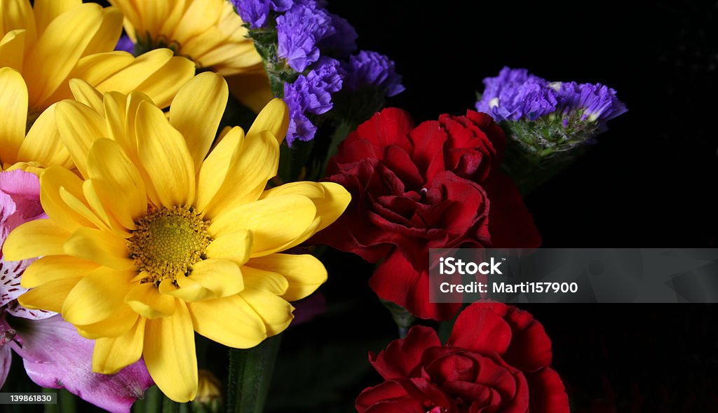 flores - Foto de stock de Amarillo - Color libre de derechos