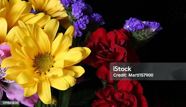 Flores Foto de stock y más banco de imágenes de Amarillo - Color - Amarillo - Color, Amor - Sentimiento, Azul