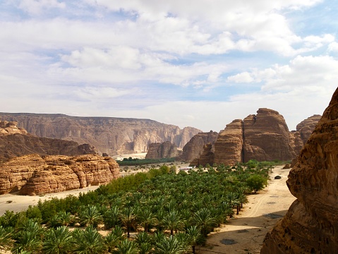 Oasis con acantilados y dátiles en el desierto de Arabia en Arabia Saudita photo