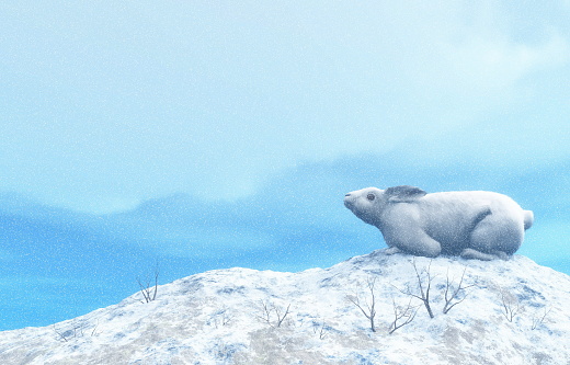 Arctic hare, lepus arcticus, or polar rabbit by snowy winter - 3D render