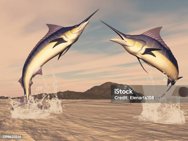Marlin Fishes Danse 3d Render Stock Photo - Download Image Now - Jumping, Swordfish, Marlin