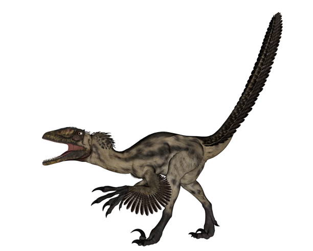 deinocheirus dinosaurio - 3d render - paleobiology fotografías e imágenes de stock