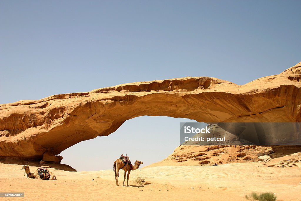 Camels and Rock Bridge Camels waiting by rock bridge near Wadi Rum, Jordan. Aqaba Stock Photo