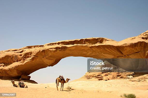 Camels And Rock Bridge Stock Photo - Download Image Now - Aqaba, Jordan - Middle East, Camel