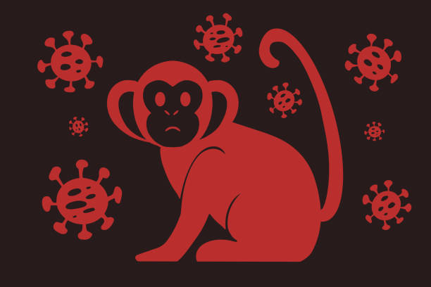Vector illustration of monkey icon with virus cells on dark background. new Monkeypox 2022 virus - disease transmitted by monkey, ape in simple flat style isolated Vector illustration of monkey icon with virus cells on dark background. new Monkeypox 2022 virus - disease transmitted by monkey, ape in simple flat style isolated. pox stock illustrations