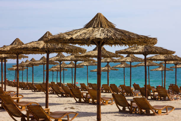 istock Umbrellas on Abu Dhabi sea beach, Sir Bani Yas island 1398622943
