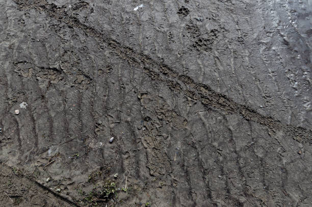 istock black and white dirty road texture 1398623269