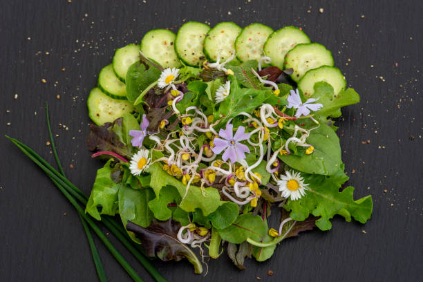 istock green salad with cucumbers, sprouts and edible flowers 1398627218