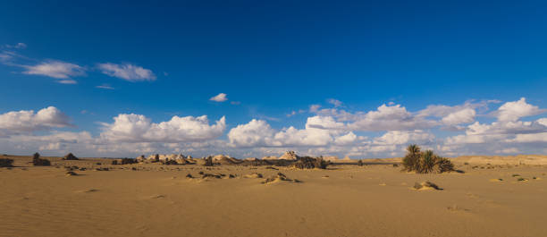 istock Sandy Hills in the White Desert Protected Area 1398630259
