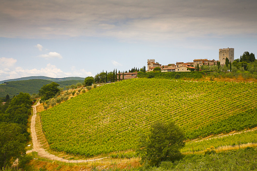 The curved and sinuous lines of the Chianti hills are interrupted only by the \npresence of small medieval villages in perfect harmony with the surrounding area.\n These villages speak of a thousand-year history that has its roots in culture \nof the Tuscan land and still maintains its main peculiarities.
