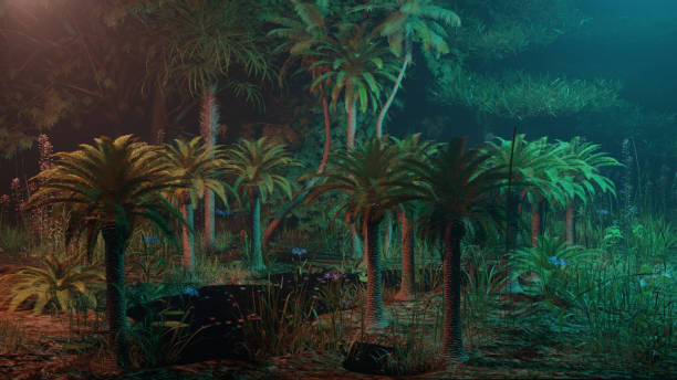 istock 25. Night view inside the wild coconut forest - Nature Landscape 1398633760