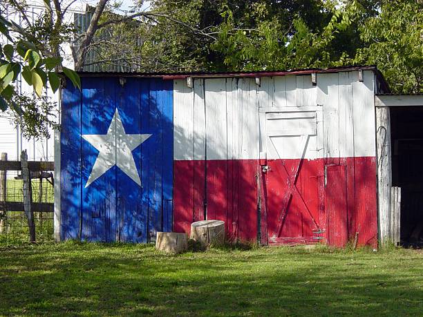 istock Wooden Building Painted with Texas Flag 139863909