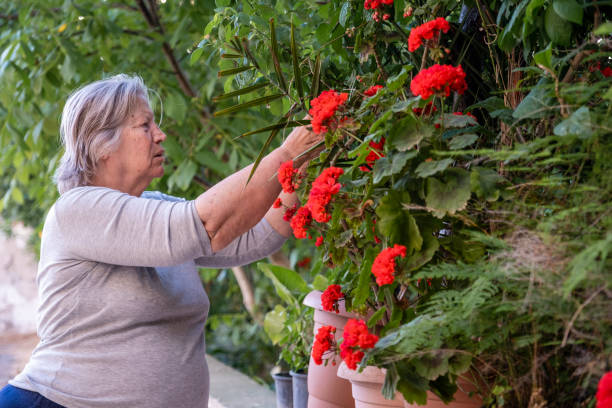 le donne anziane si prendono cura dei loro fiori sul balcone - women large build gardening outdoors foto e immagini stock