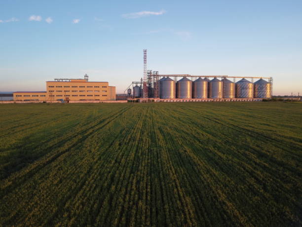 istock Grain elevator. Metal grain elevator in agricultural zone. Agriculture storage for harvest. Grain silos on green nature background. Exterior of agricultural factory. Nobody 1398641503