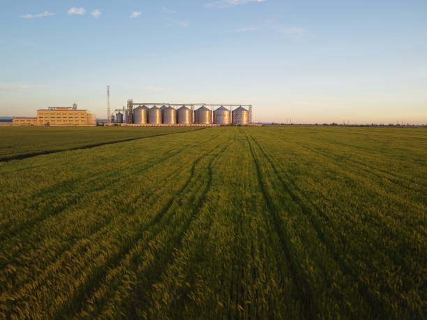 istock Grain elevator. Metal grain elevator in agricultural zone. Agriculture storage for harvest. Grain silos on green nature background. Exterior of agricultural factory. Nobody 1398641738