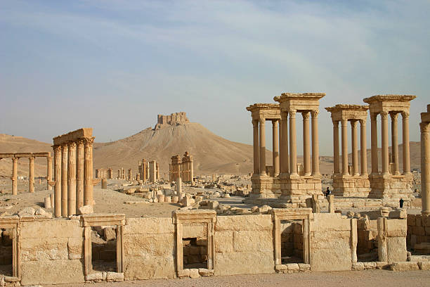 Palmyra stock photo