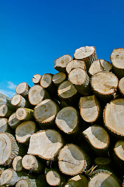 Pile of wood stock photo