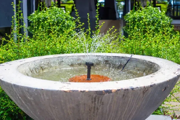 Photo of A small fountain in a concrete bowl in a tropical garden. Garden design and decor