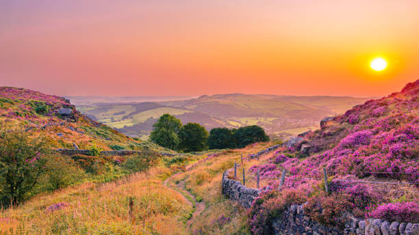 Sunset and heather, Curbar Edge, Peak District A beautiful, colourful sunset over the Hope Valley viewed from Curbar Edge in the Peak District. Purple heather can be seen on the hills. peak district national park stock pictures, royalty-free photos & images