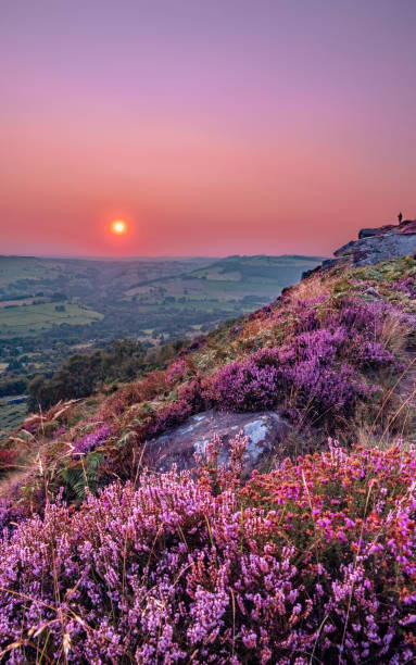 istock Purple Sunset, Peak District, Derbyshire 1398643626