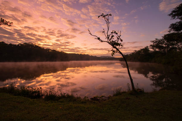 istock Magic Sunrise in Brazilian Savannah 1398643904