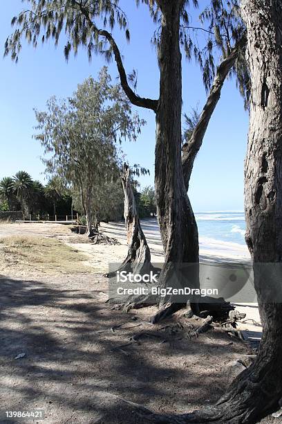 Tree Line On North Shore Stock Photo - Download Image Now - Abandoned, Animal Wildlife, Barren