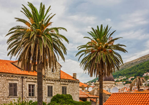 View on rooftops of historic walled centre of Dubrovnik, Croatia.View on rooftops of historic walled centre of Dubrovnik, Croatia