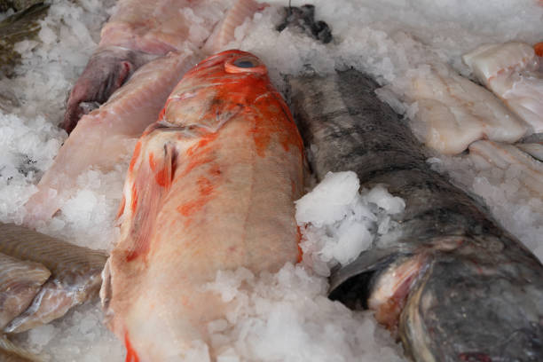 istock Fresh fish sea food on ice 1398644579