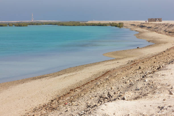 sea sand beach with blue water in abu dhabi, united arab emirates (uae). sir bani yas island, - middle east recreational pursuit abu dhabi united arab emirates imagens e fotografias de stock