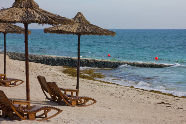 sea sand beach umbrellas in abu dhabi, united arab emirates (uae). sir bani yas island - middle east recreational pursuit abu dhabi united arab emirates imagens e fotografias de stock