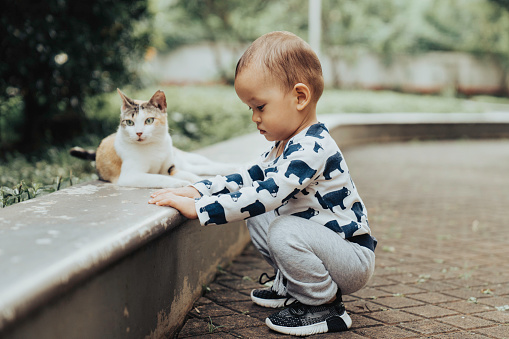 Baby playing with cat on outdoor