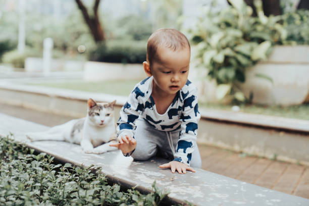istock Baby playing with cat on outdoor 1398645108