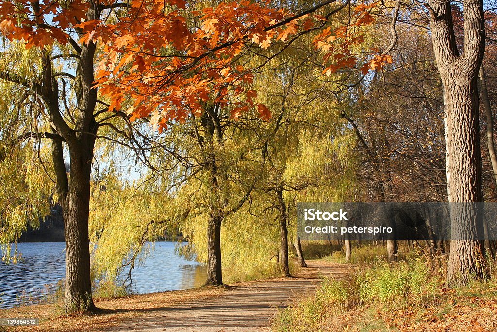 Path by the river with fall colors in a wilderness park Autumn Stock Photo