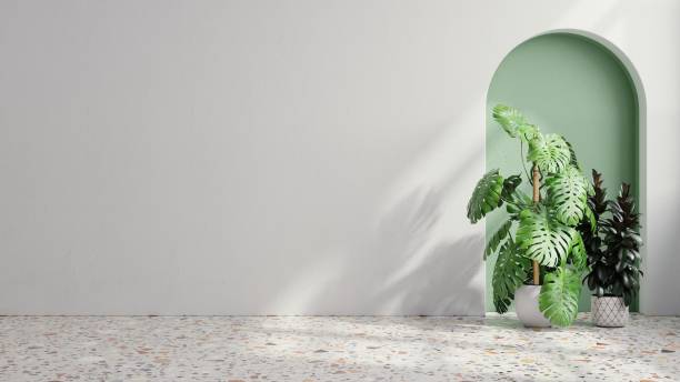 istock Plants on a terrazzo floor in empty white room. 1398645140