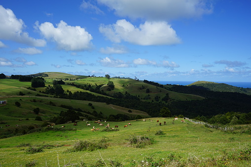 Hills and meadows with a blue sky and clouds