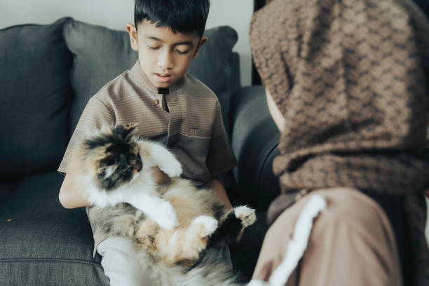 kids  playing with cat in indoor-