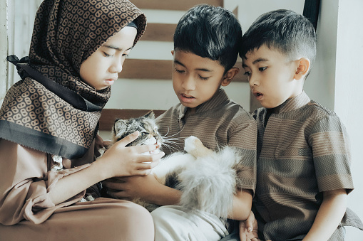 kids  playing with cat in indoor-