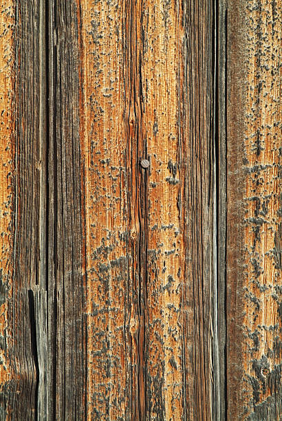 textura de madera - foto de stock