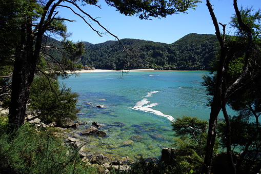 View from above of blue water in a cove in Abel Tasman, New Zealand