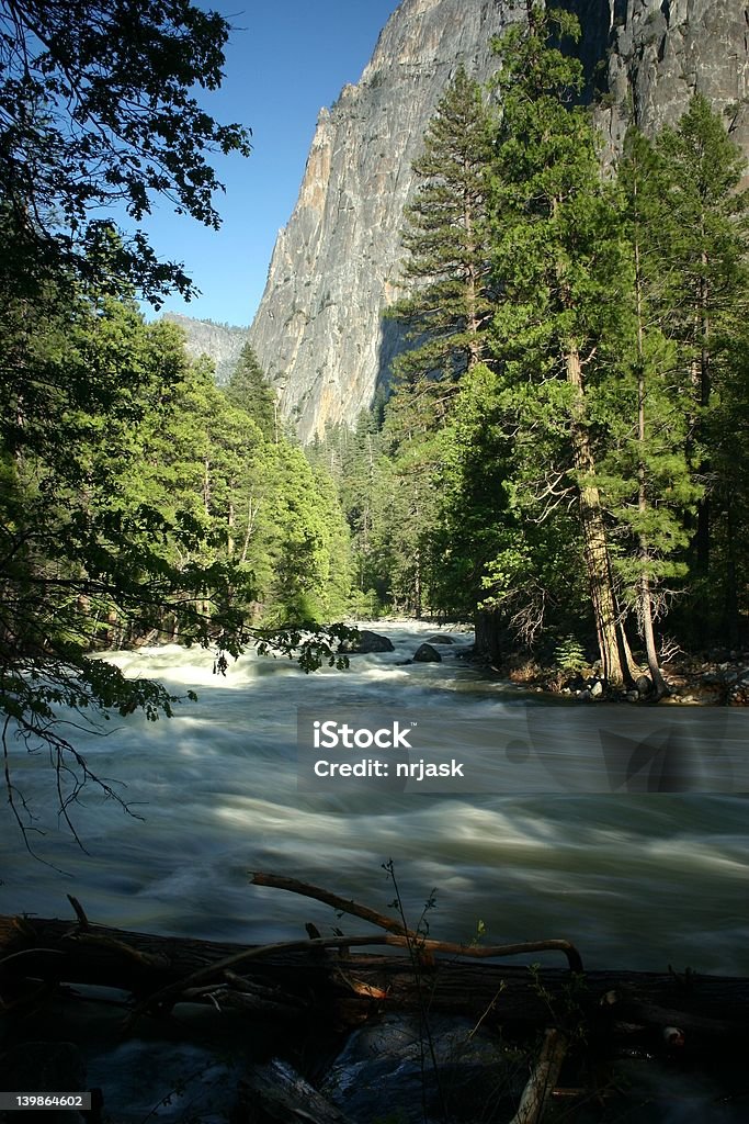 Em Yosemite do rio Rushing - Royalty-free Animal selvagem Foto de stock