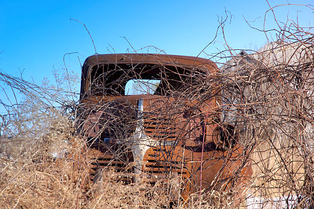 Rusty Truck stock photo