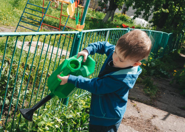 istock Child waters flowering strawberries from a large watering can 1398648593